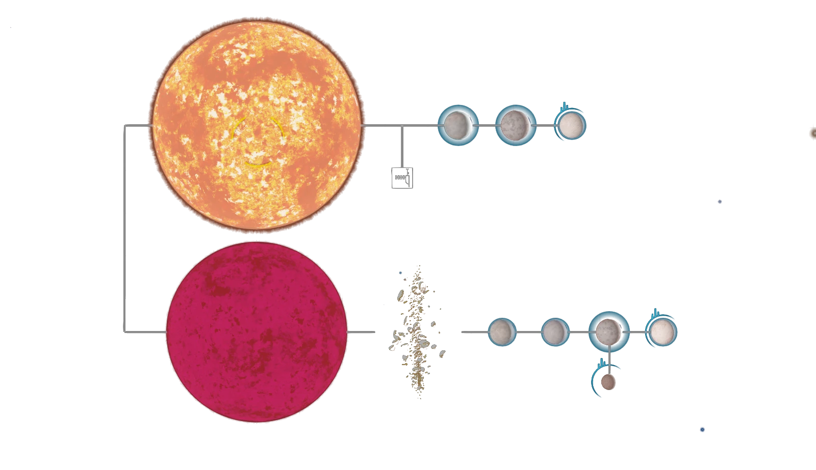 Turong system maps